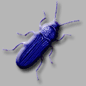 programy AntySpyware