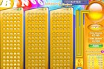 Bingo