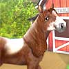 Pony Luv