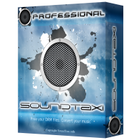 SoundTaxi Professional