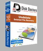 Disk Doctors Undelete